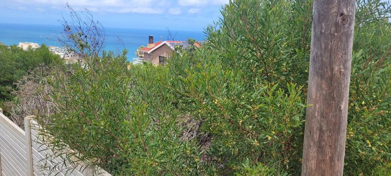 0 Bedroom Property for Sale in Dana Bay Western Cape